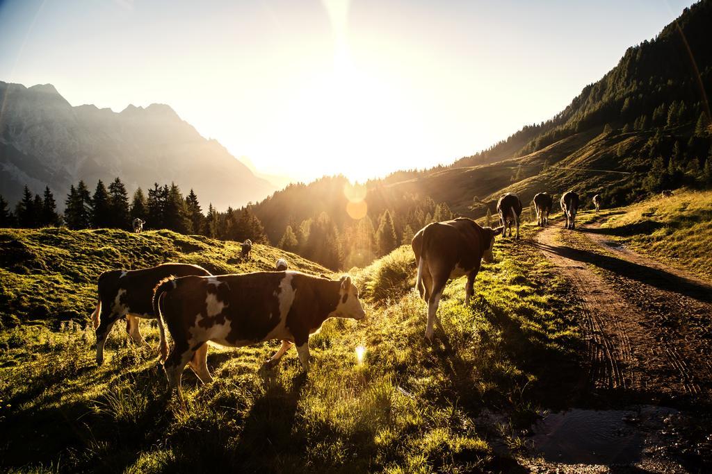 Ansitz Wirtsgut - Familienappartements In Den Bergen Leogang Kültér fotó